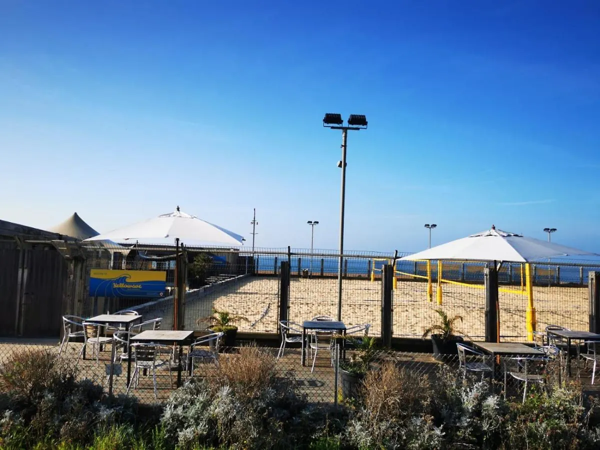 Luxury Apartment Brighton And South Downs National Park, Free Parking, Animals On Request Daily Fee 0*,