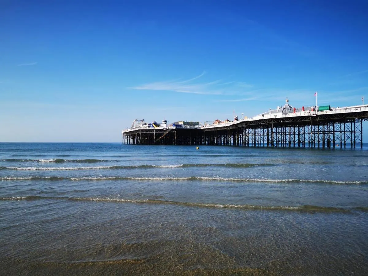 Luxury Apartment Brighton And South Downs National Park, Free Parking, Animals On Request Daily Fee
