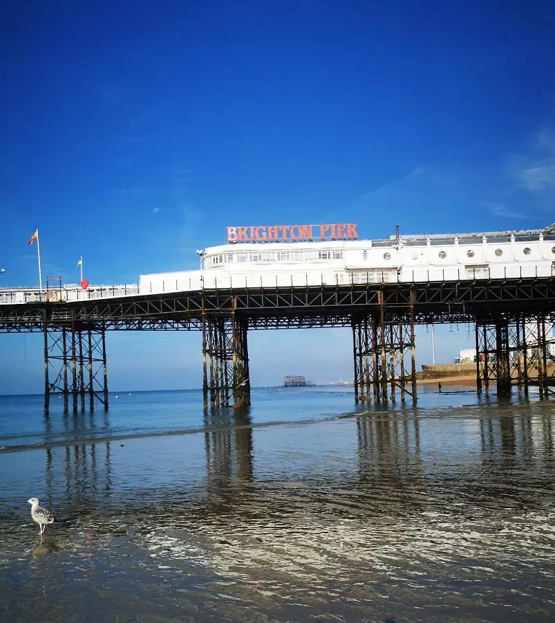 Luxury Apartment Brighton And South Downs National Park, Free Parking, Animals On Request Daily Fee